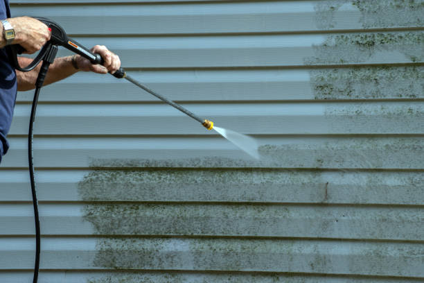 Best Pressure Washing Siding  in Seagraves, TX